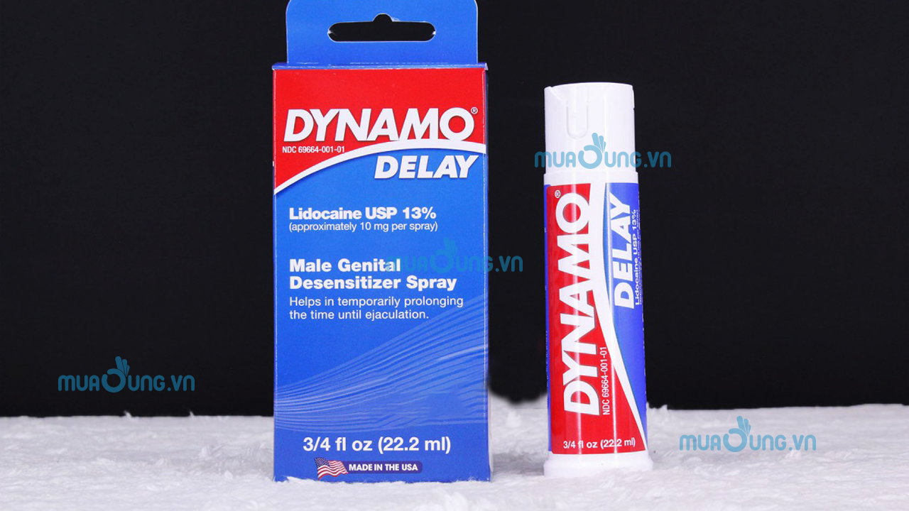 DYNAMO DELAY