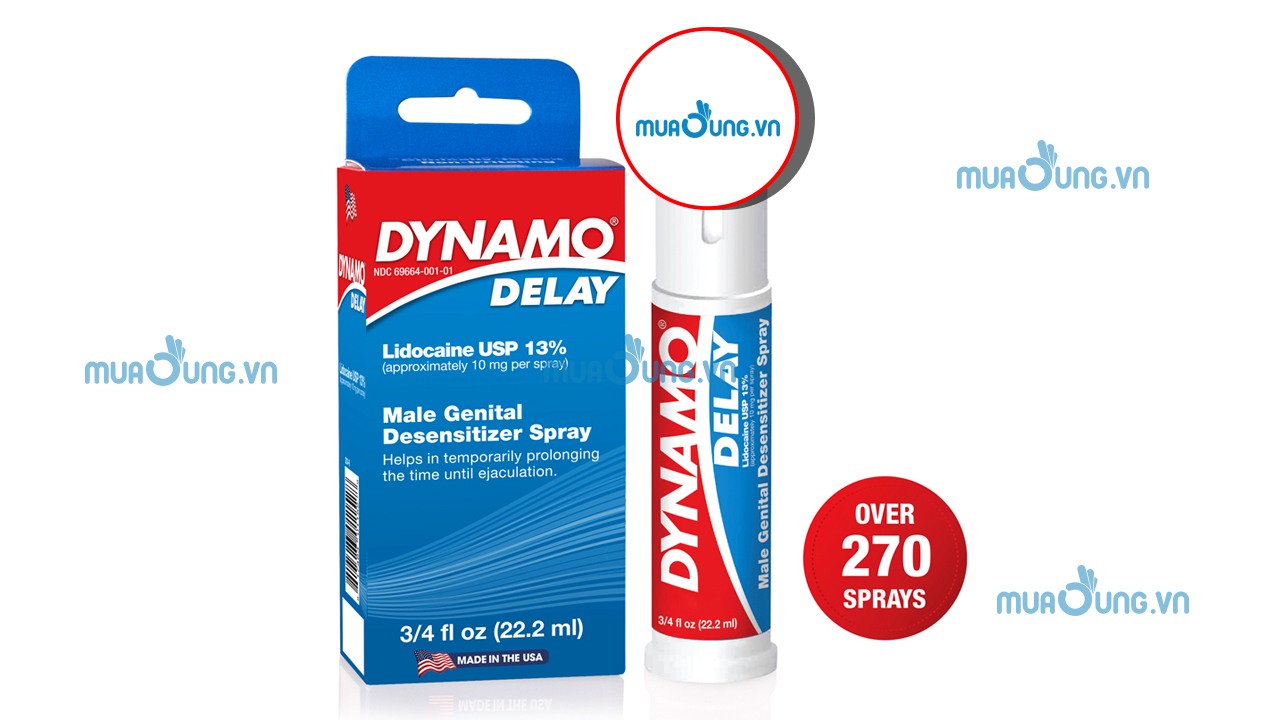 DYNANMO DELAY