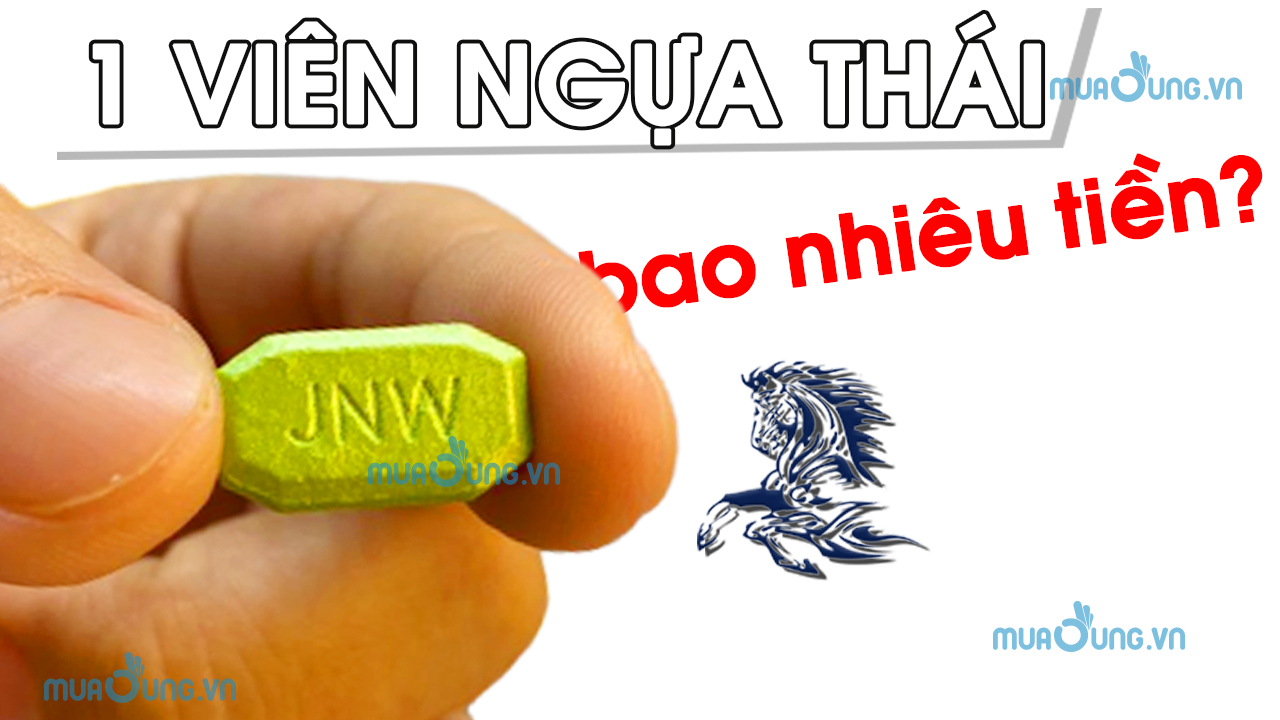 giá bán 1 viên ngựa thái