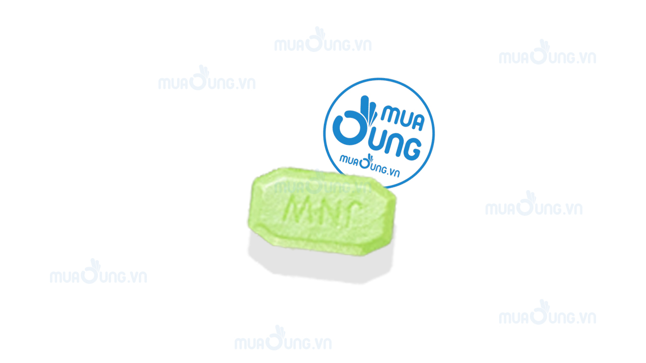 1 viên ngựa thái