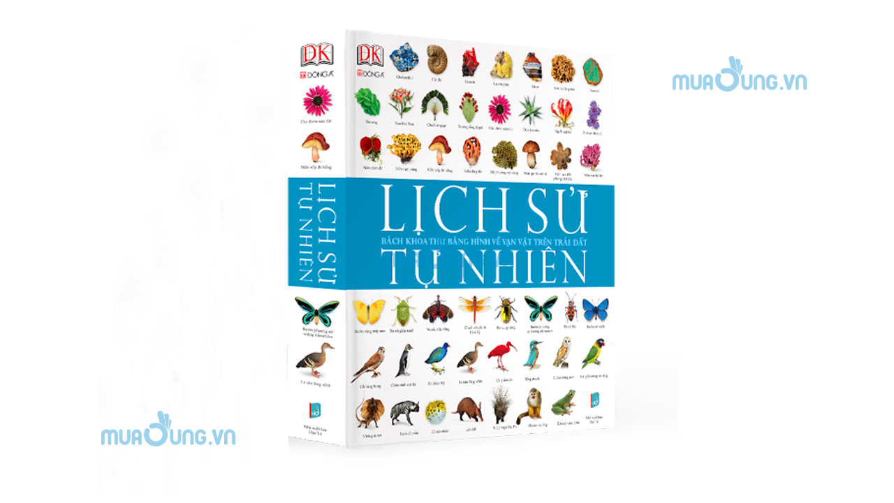Lịch Sử Tự Nhiên.