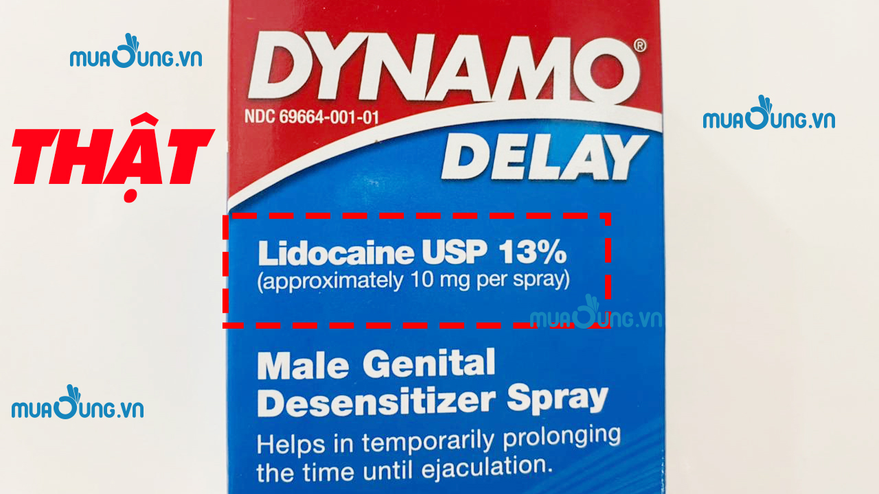 dynamo delay