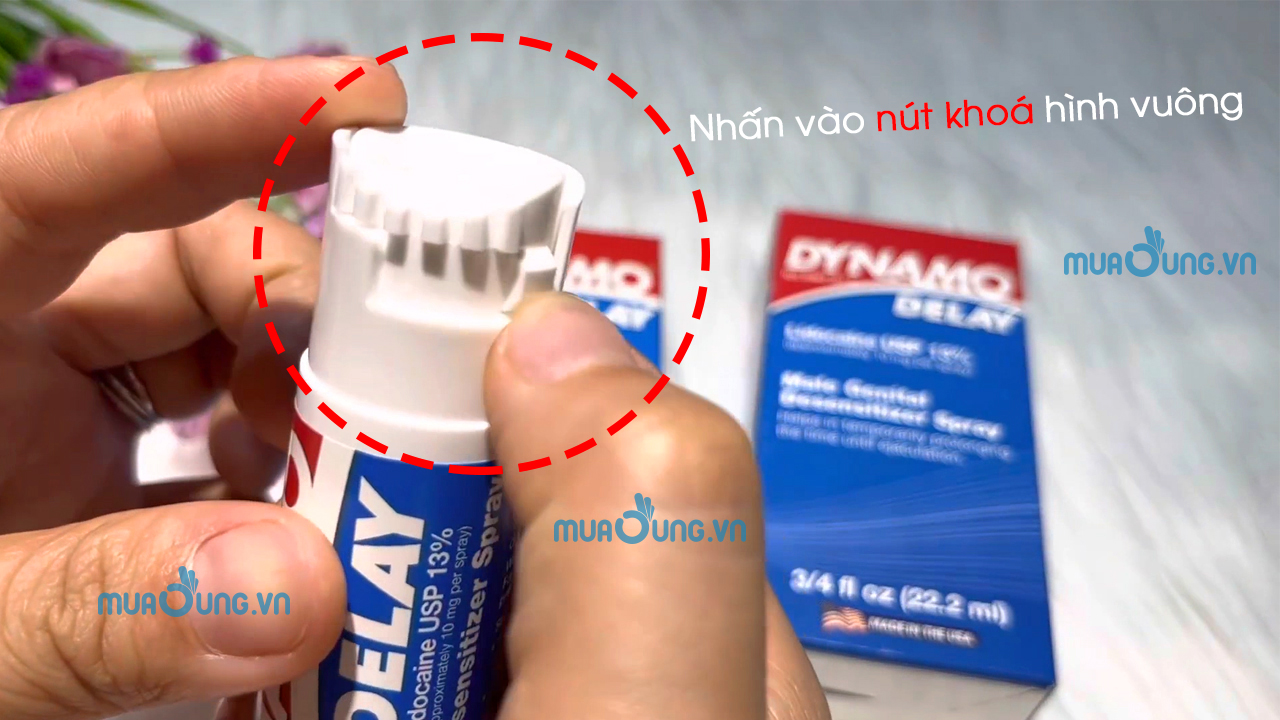 cách dùng dynamo