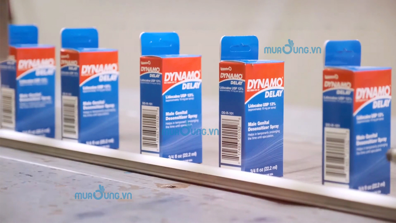dynamo delay mỹ