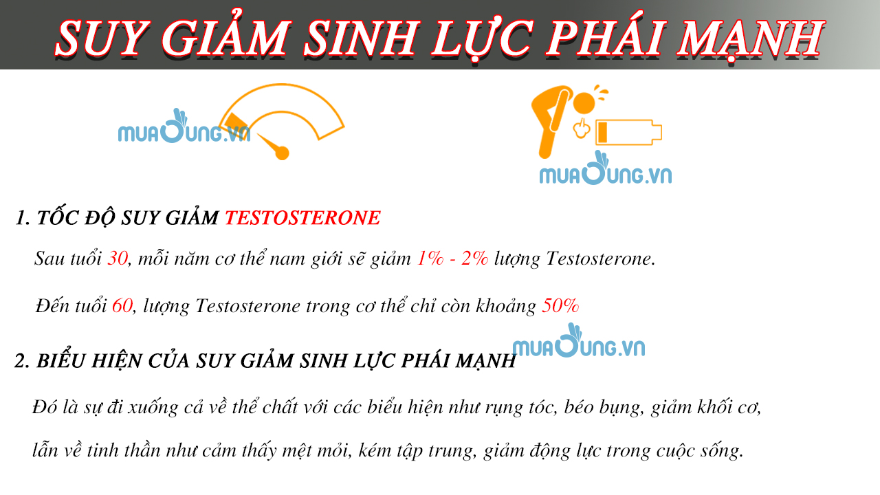 SUY GIẢM SINH LỰC PHÁI MẠNH