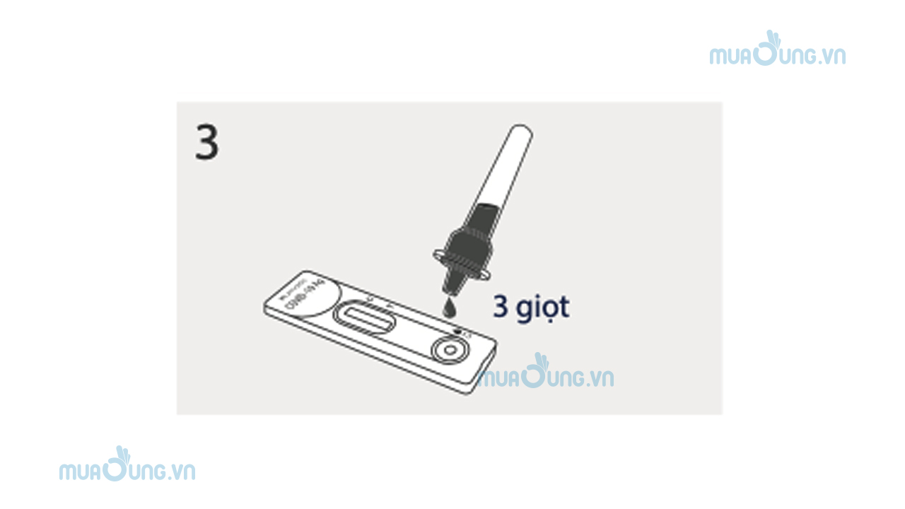 3.    Nhúng tăm bông chứa mẫu dịch tỵ hầu vào ống nghiệm, nhúng đều ít nhất 10 lần