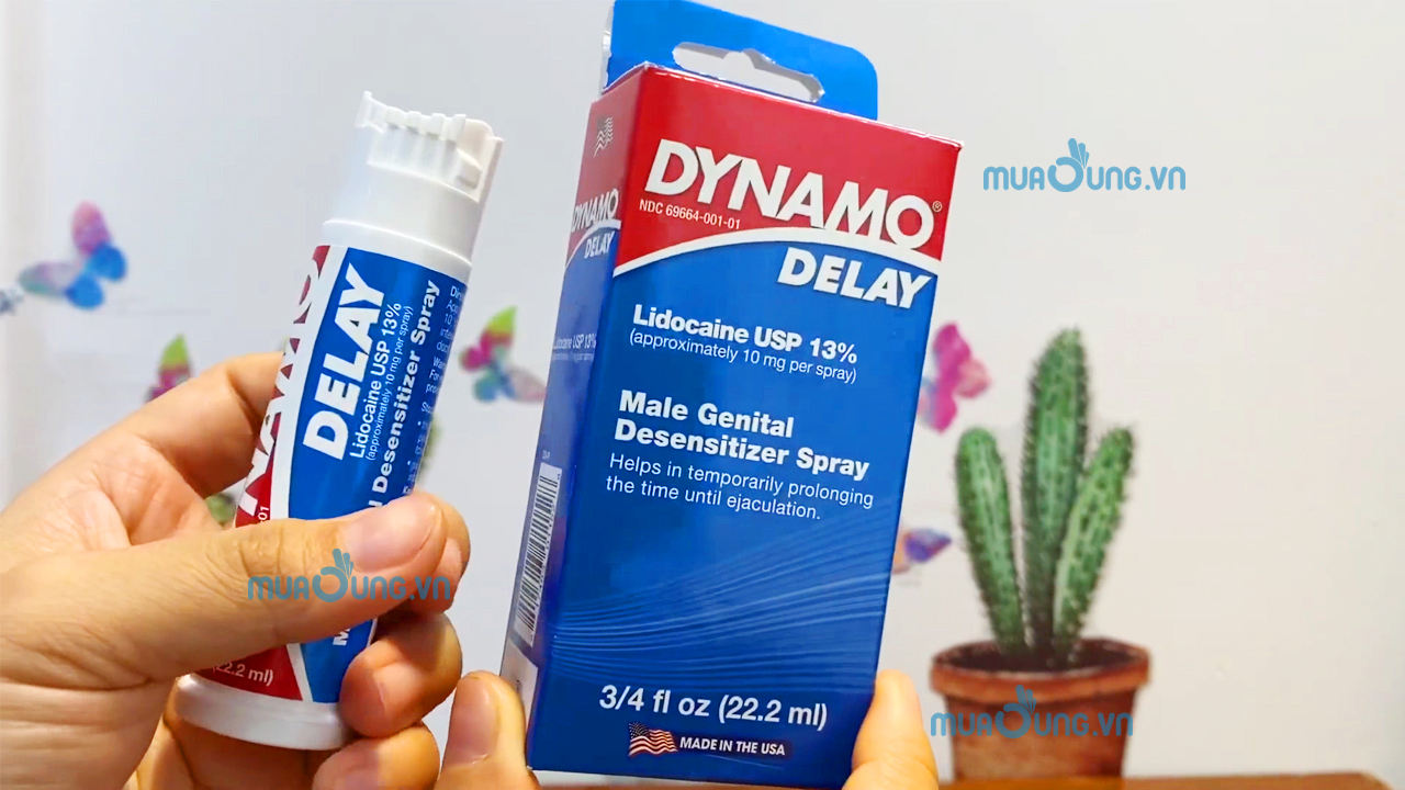 dynamo delay