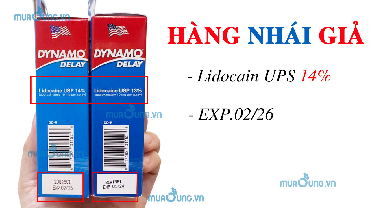 dynamo delay thật giả