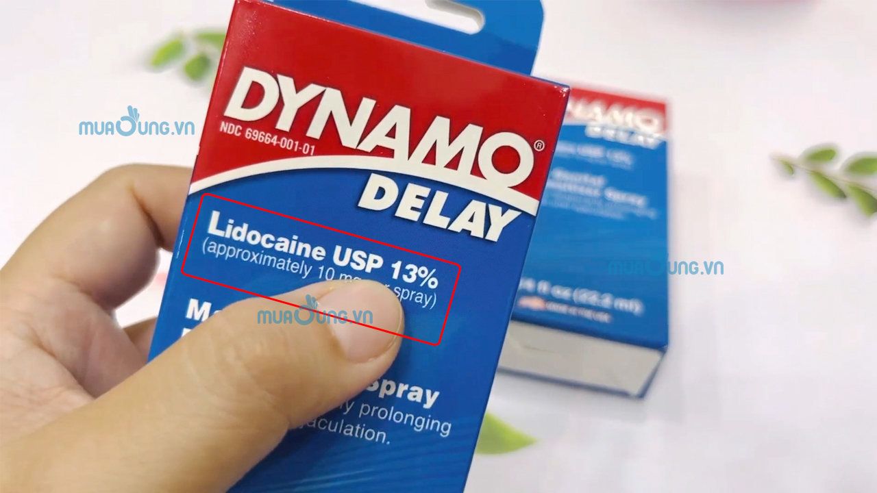 DYNAMO DELAY