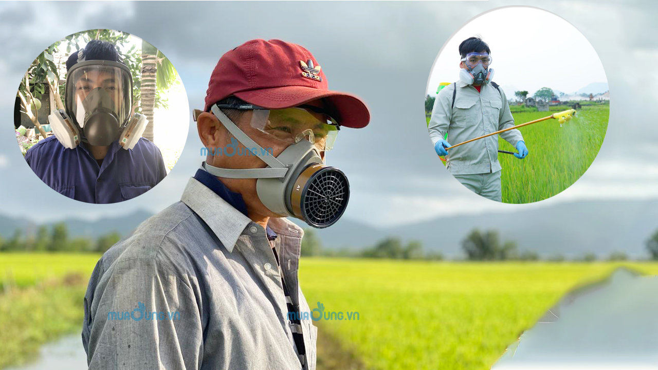 mặt nạ 3m eco