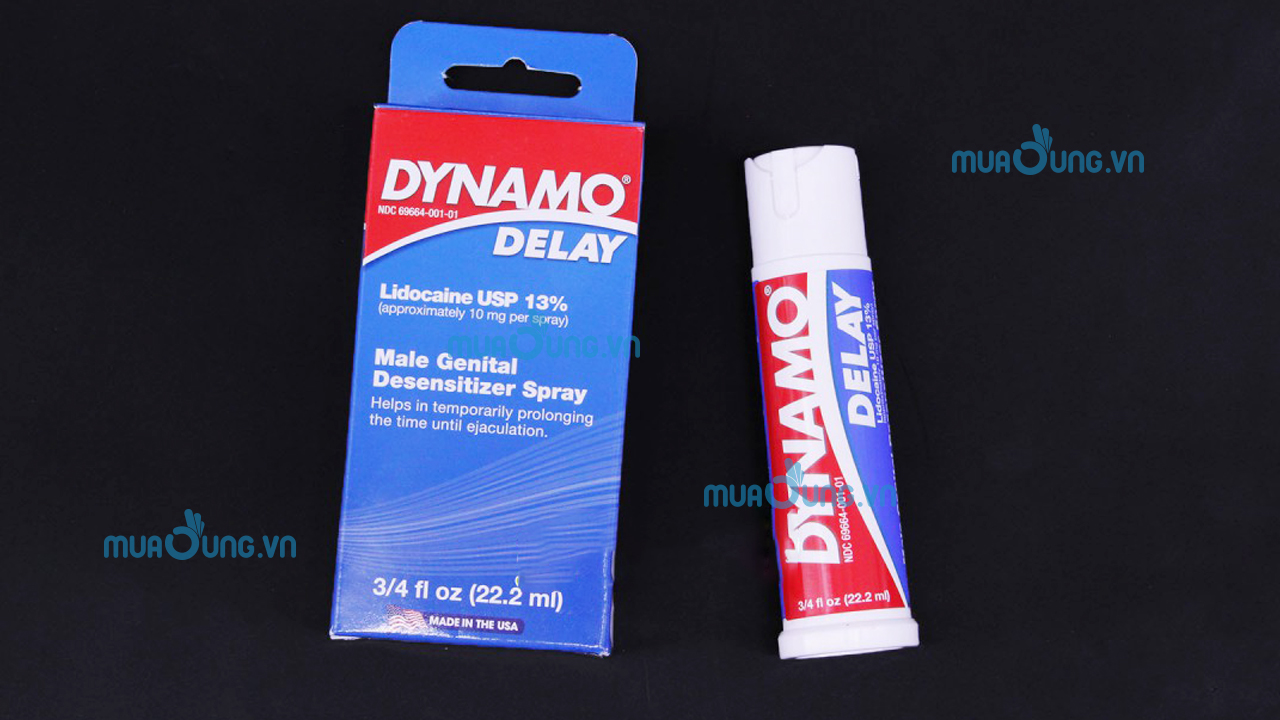 DYNAMO DELAY