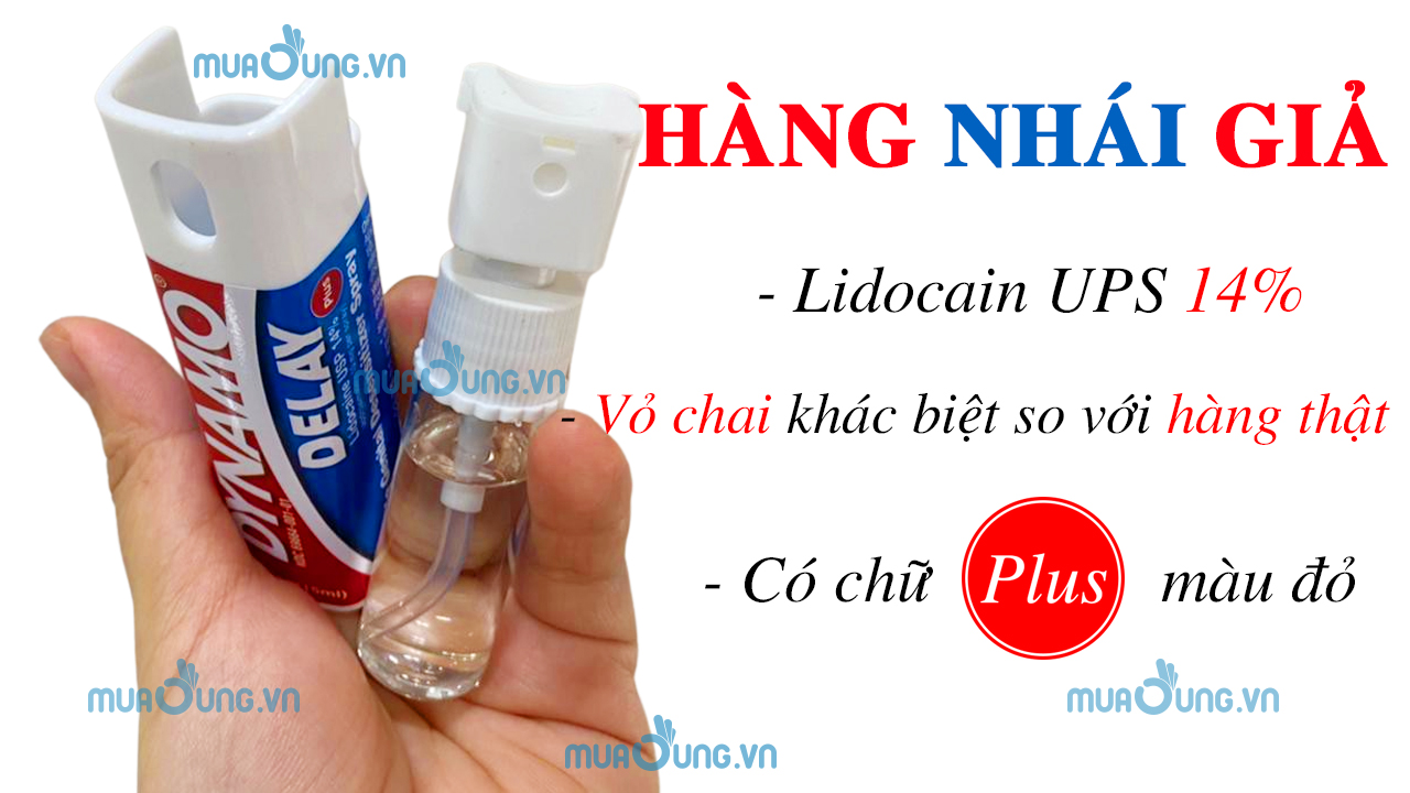 dynamo delay giả