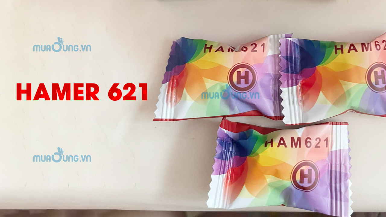 HAMER 621 MẪU MỚI