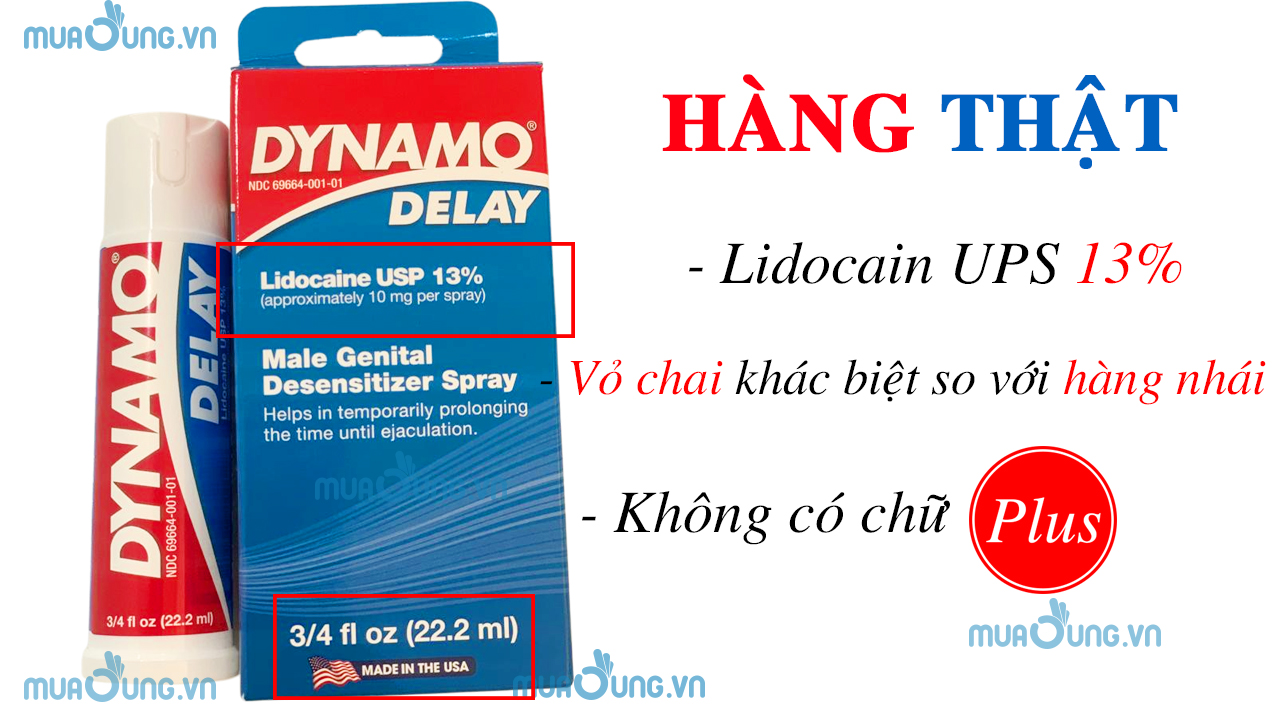 DYNAMO DELAY