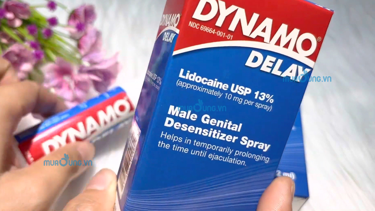 dynamo delay