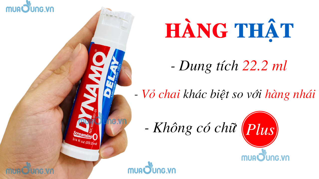 dynamo delay thật
