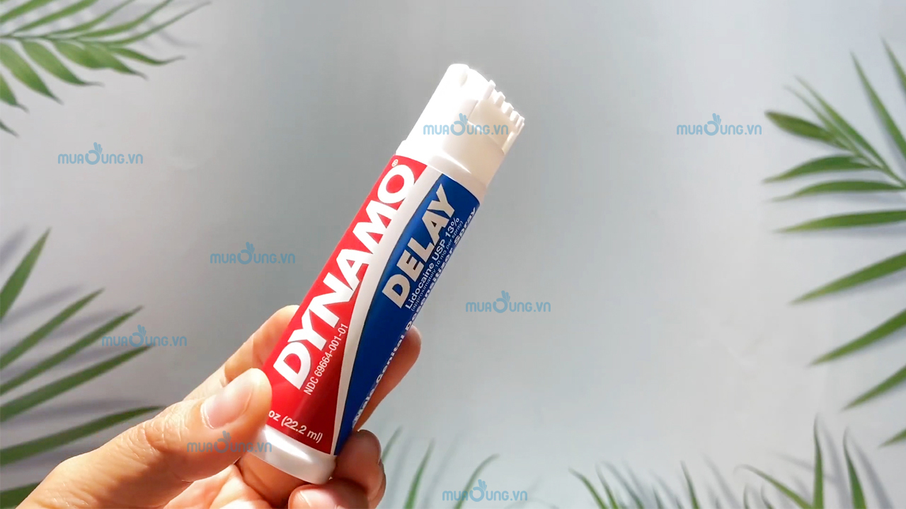 cách sử dụng dynamo delay