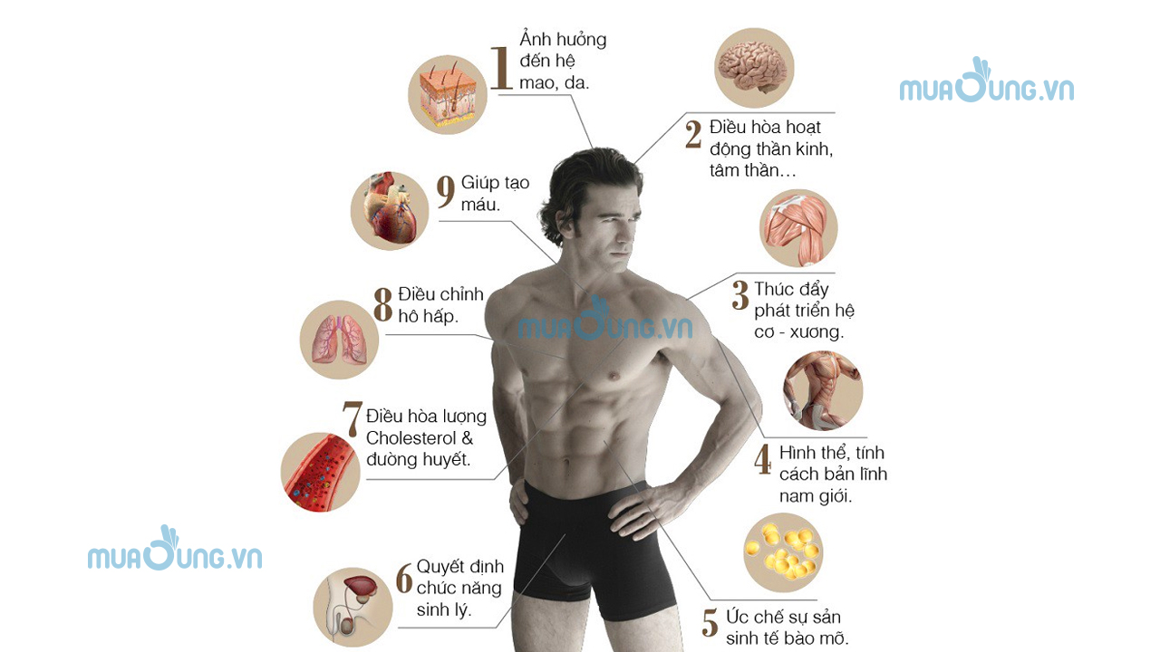 Hiểu đúng về bổ thận tráng dương