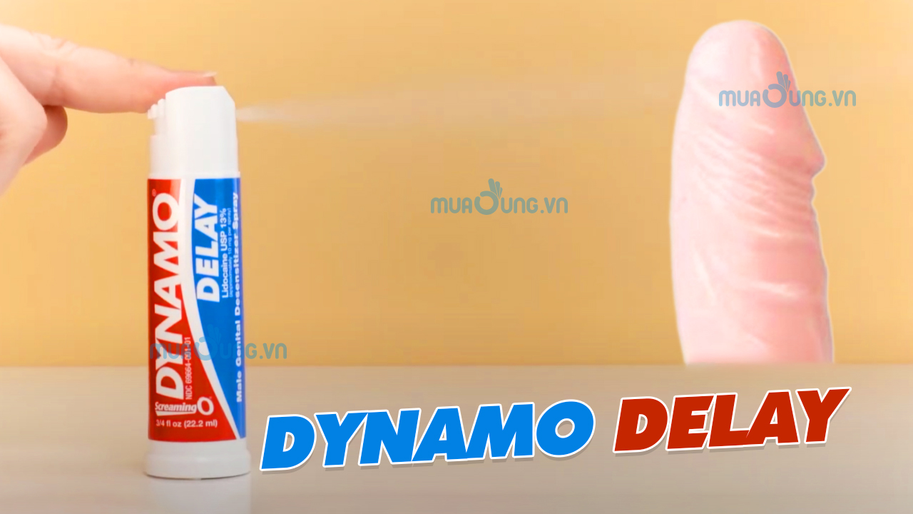 CÁCH DUNG DYNAMO DELAY