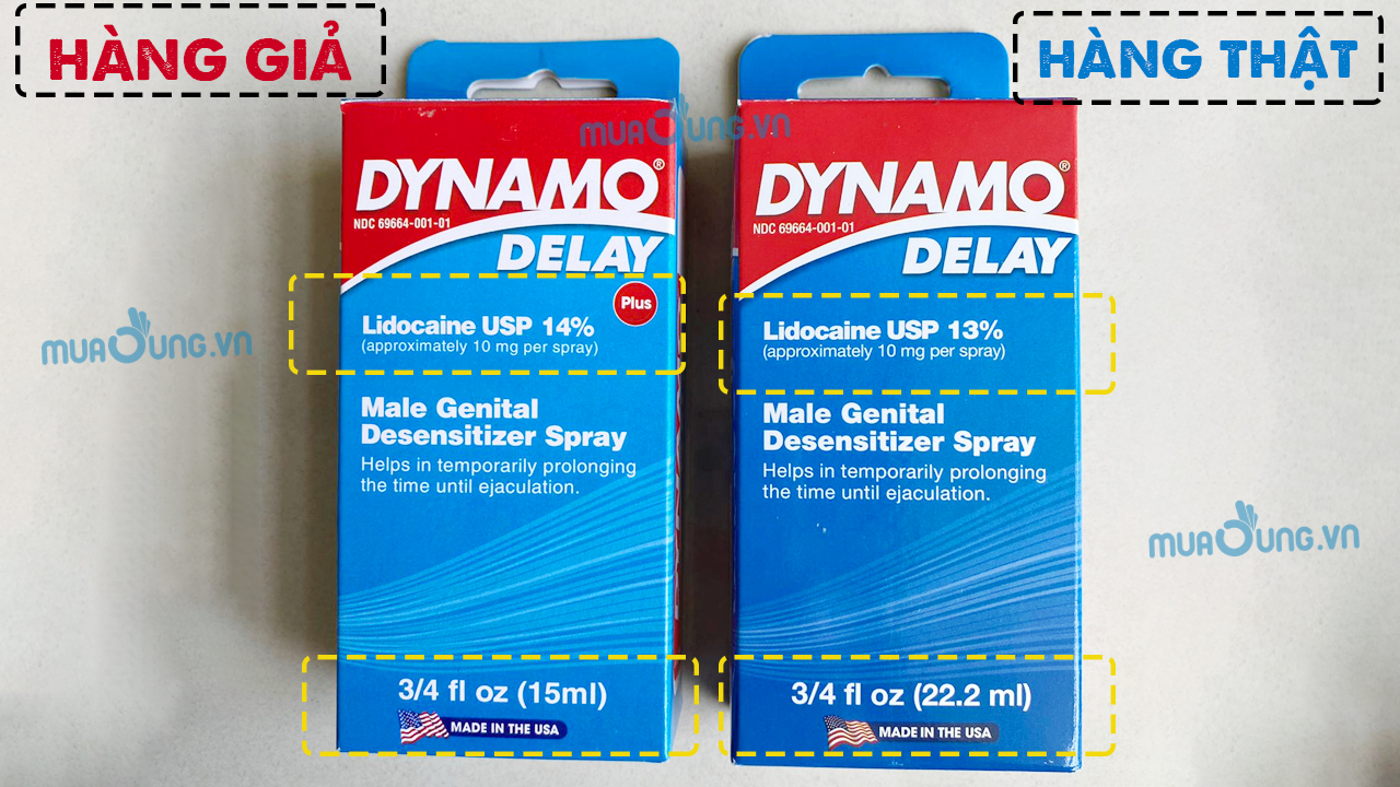 dynamo delay giả