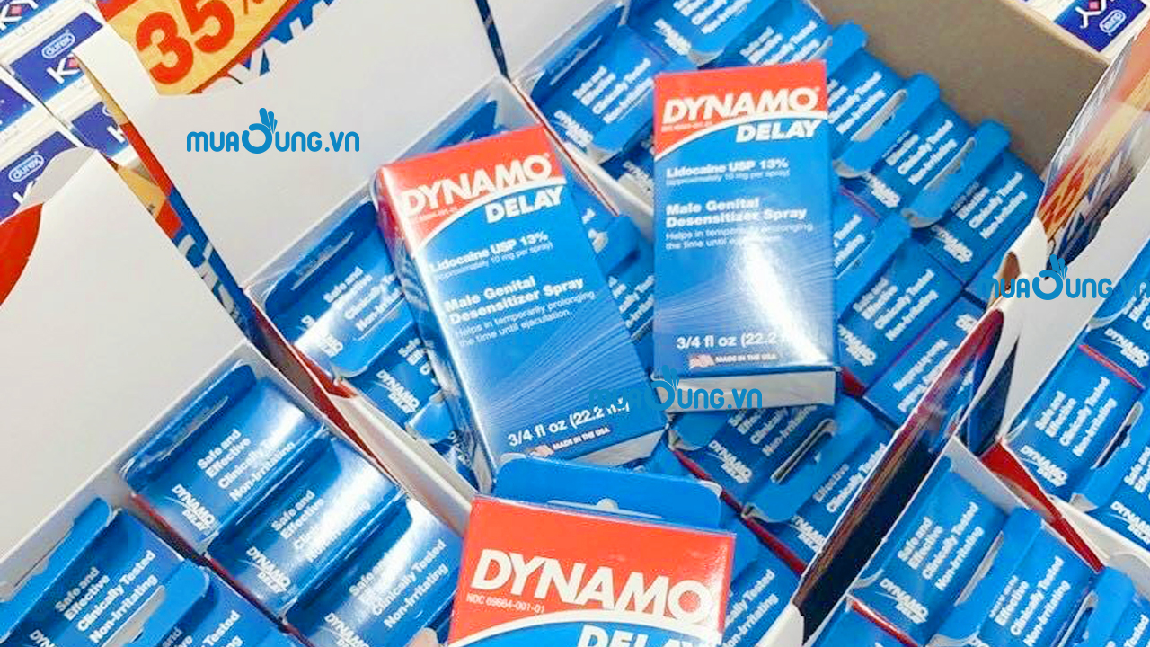 CHAI XỊT DYNAMO