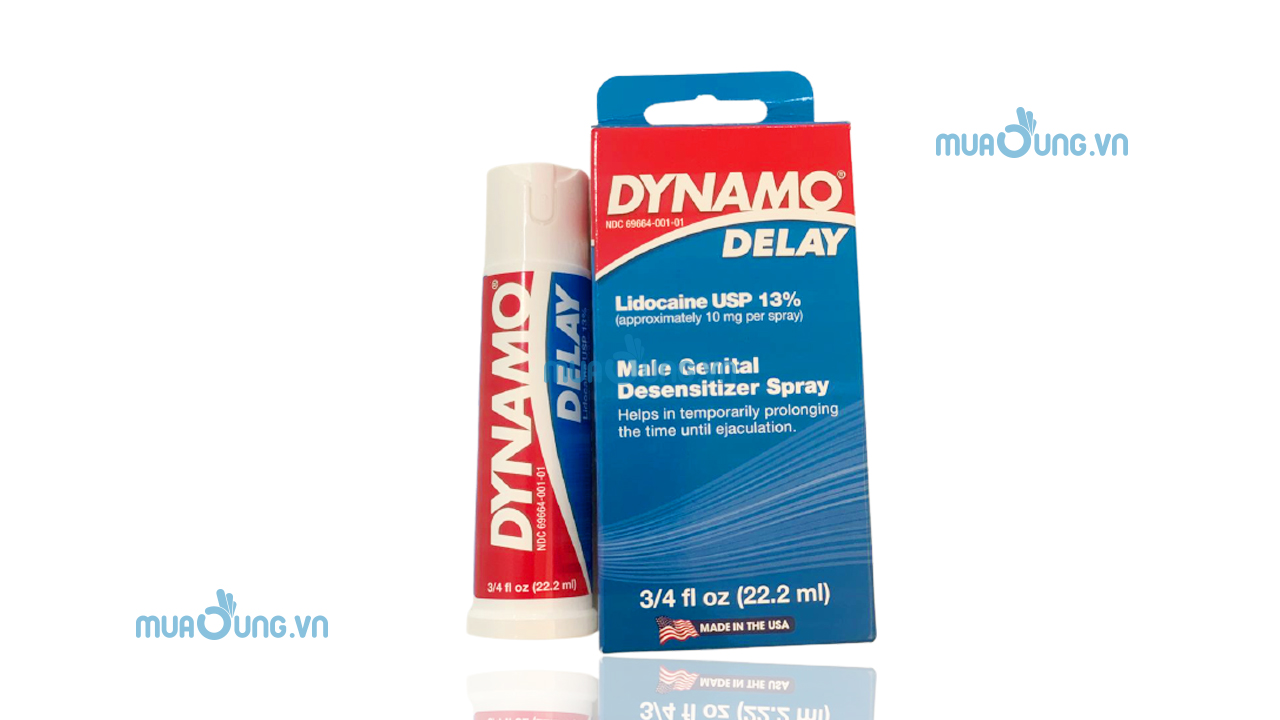 DYNAMO DELAY NỸ