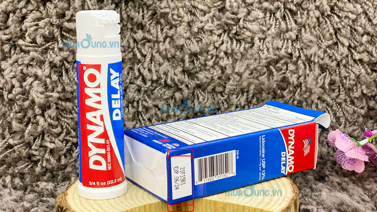 dynamo delay usa