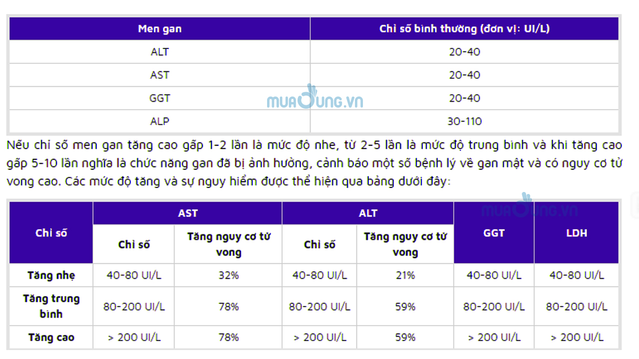 chỉ số mem gan 