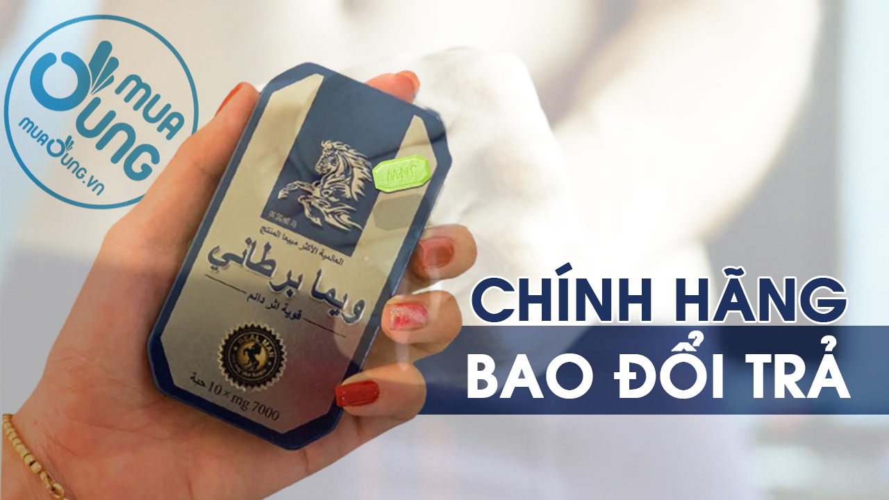 NGỰA THÁI CHÍNH HÃNG