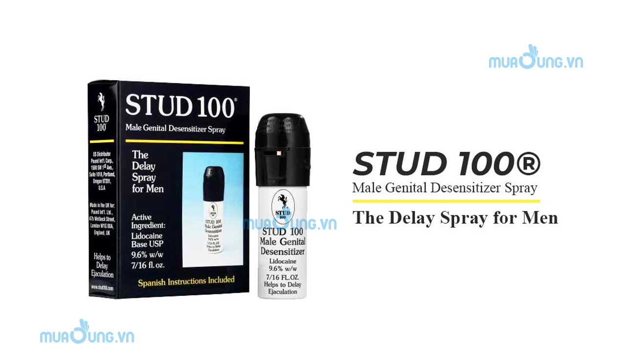 stud 100