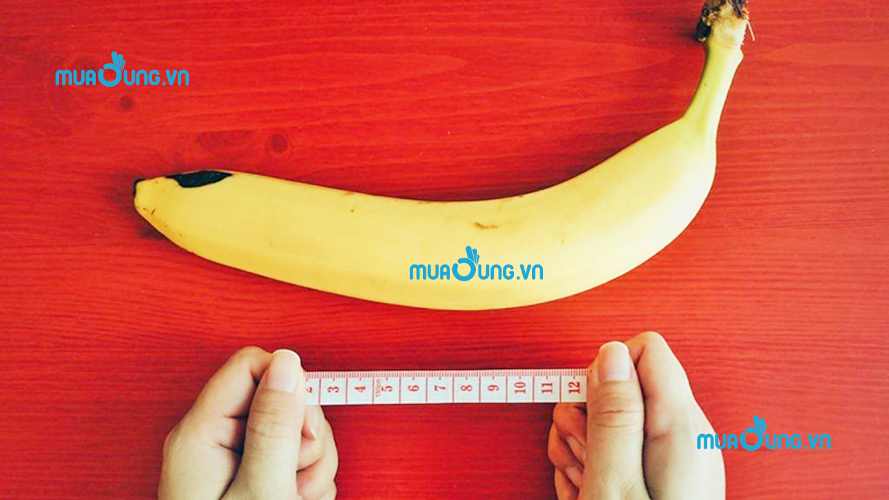 dương vật
