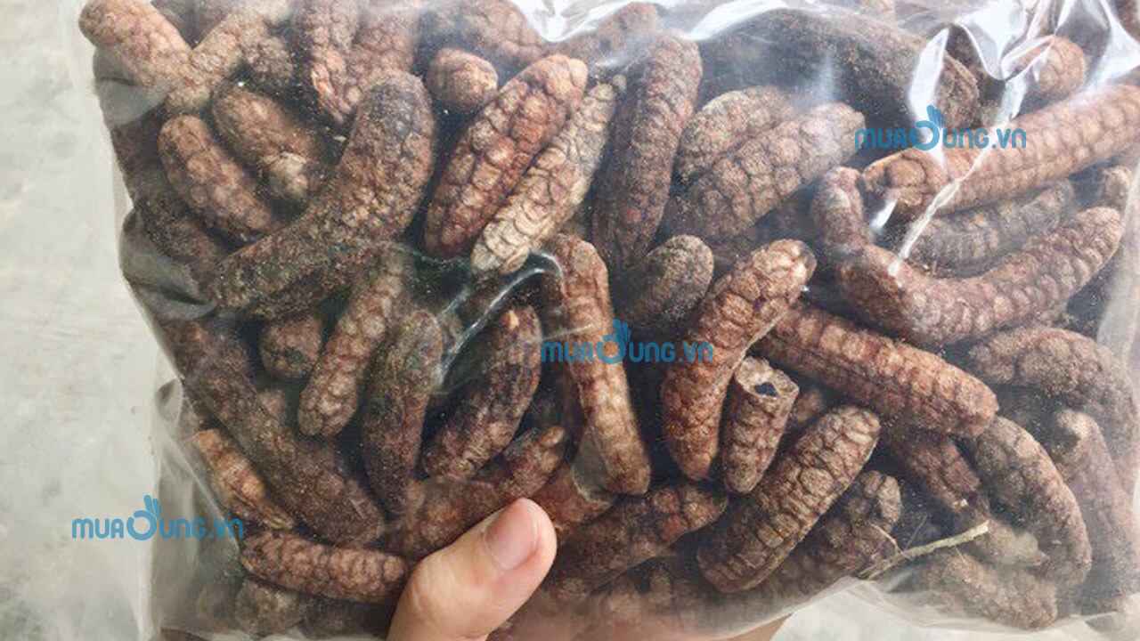 chuối hột rừng