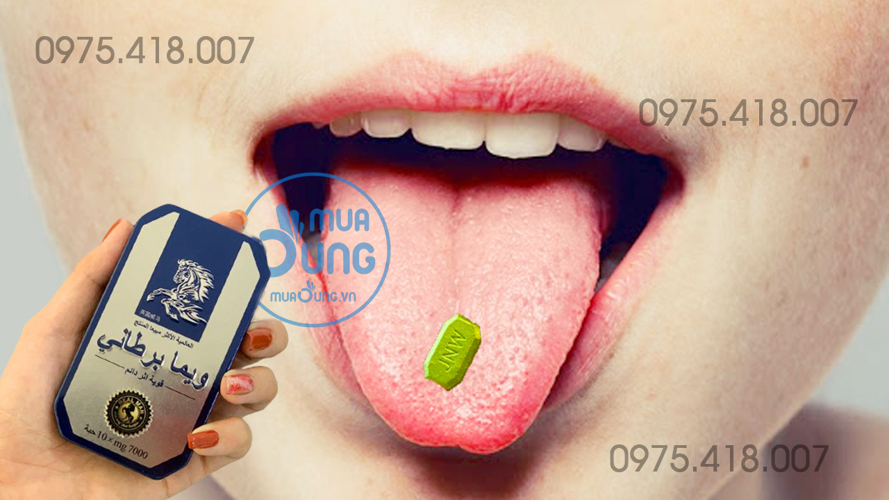 cường dương ngựa thái