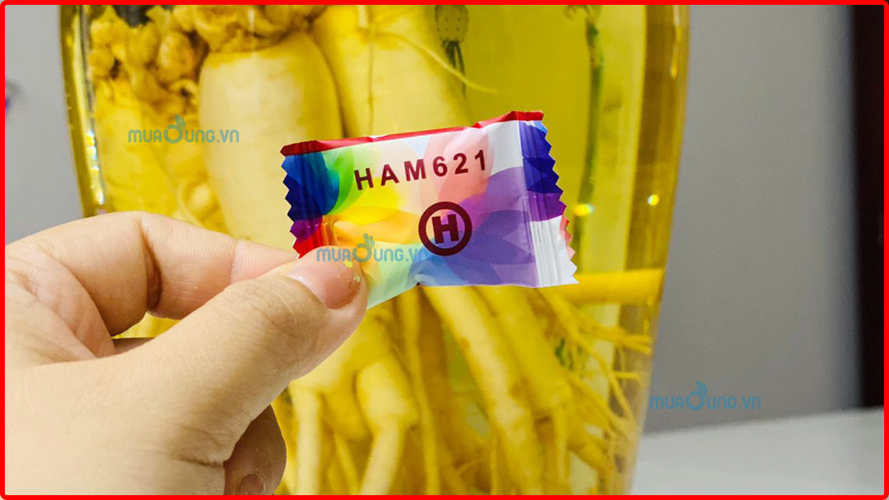 cách sử dụng kẹo sâm hamer