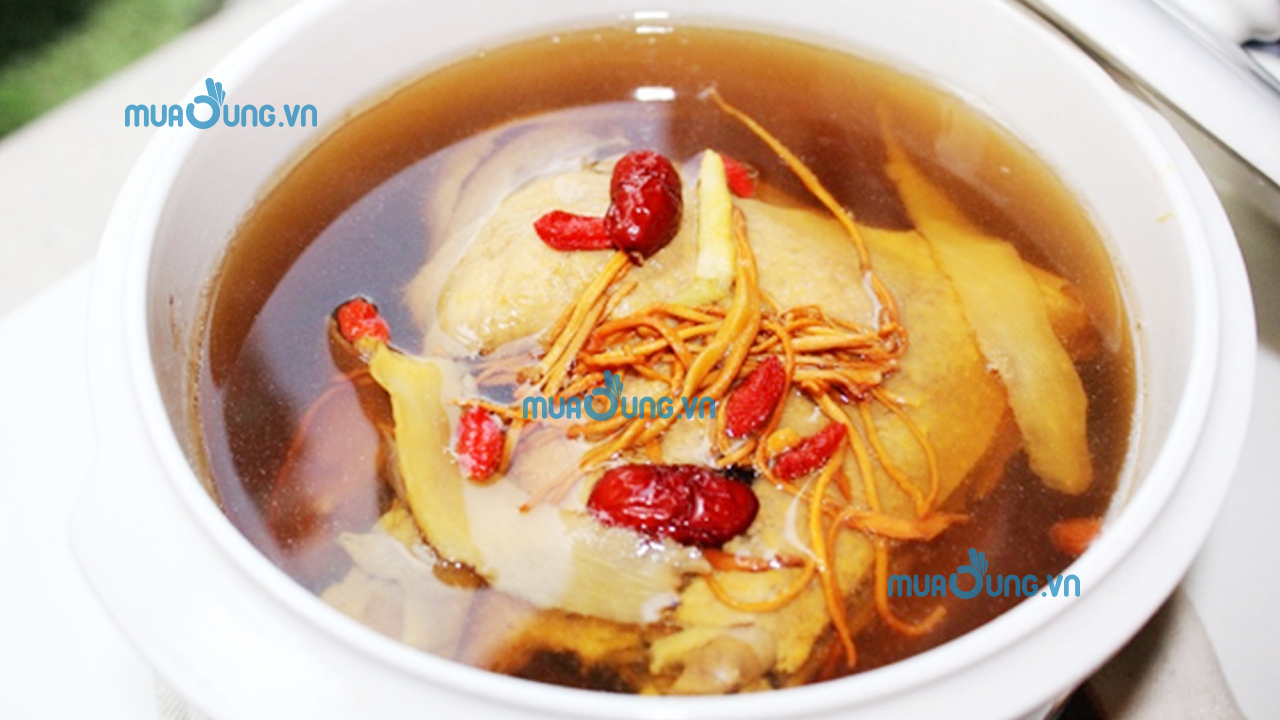 Tác dụng của đông trùng hạ thảo