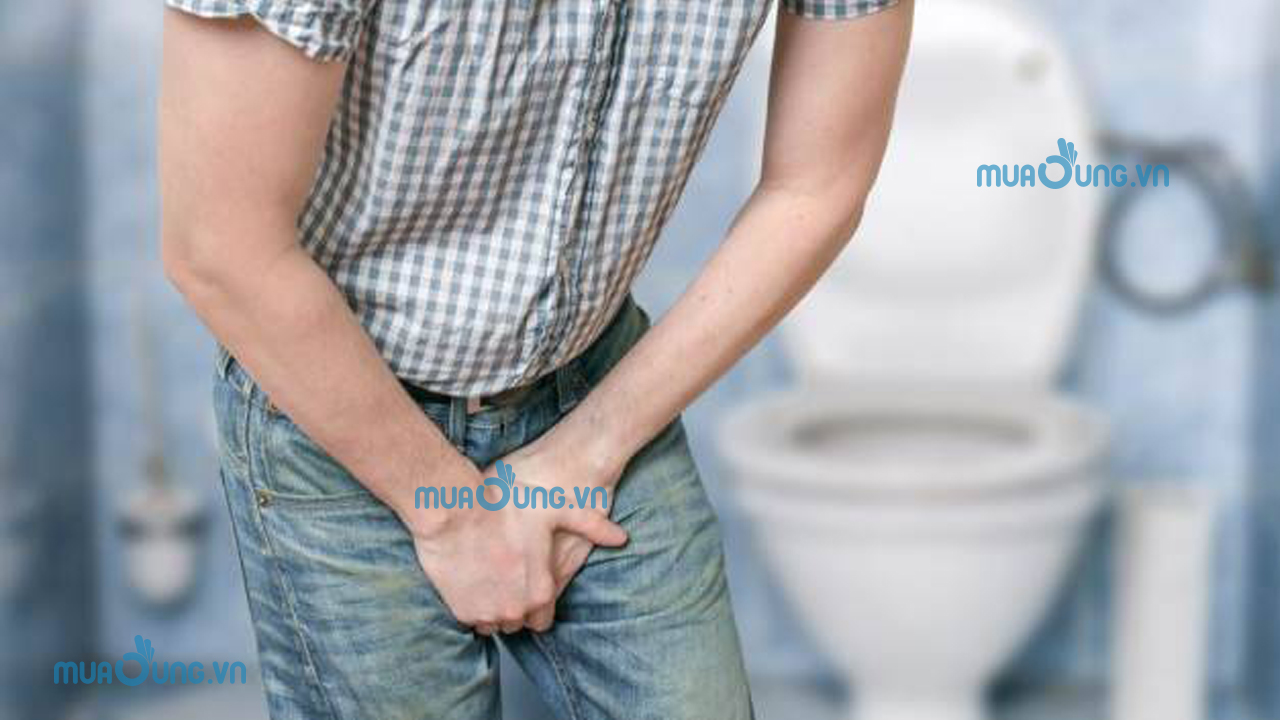 dương vật