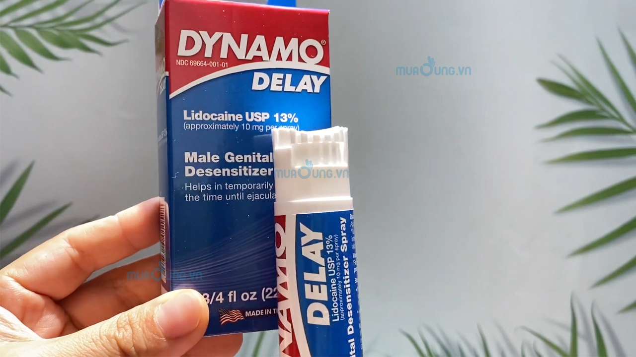 dynamo delay