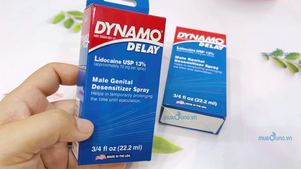 DYNAMO DELAY