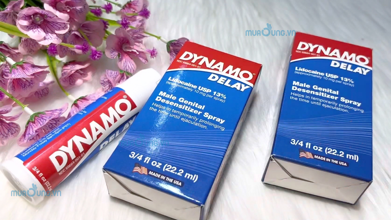 DYNAMO DELAY