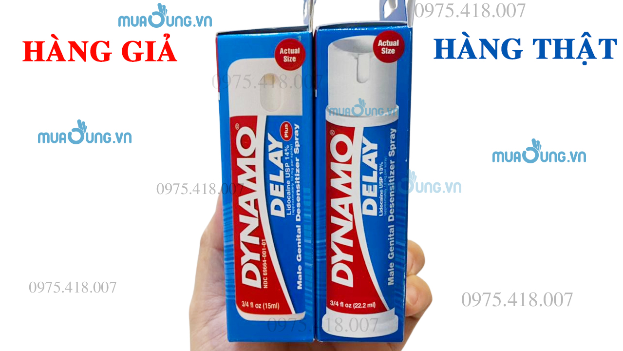 thật giả dynamo delay