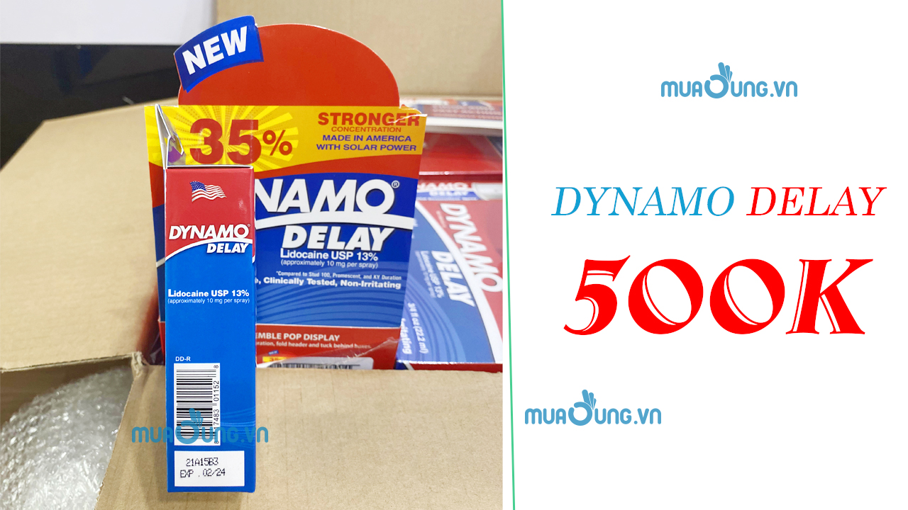 DYNAMO DELAY 500K
