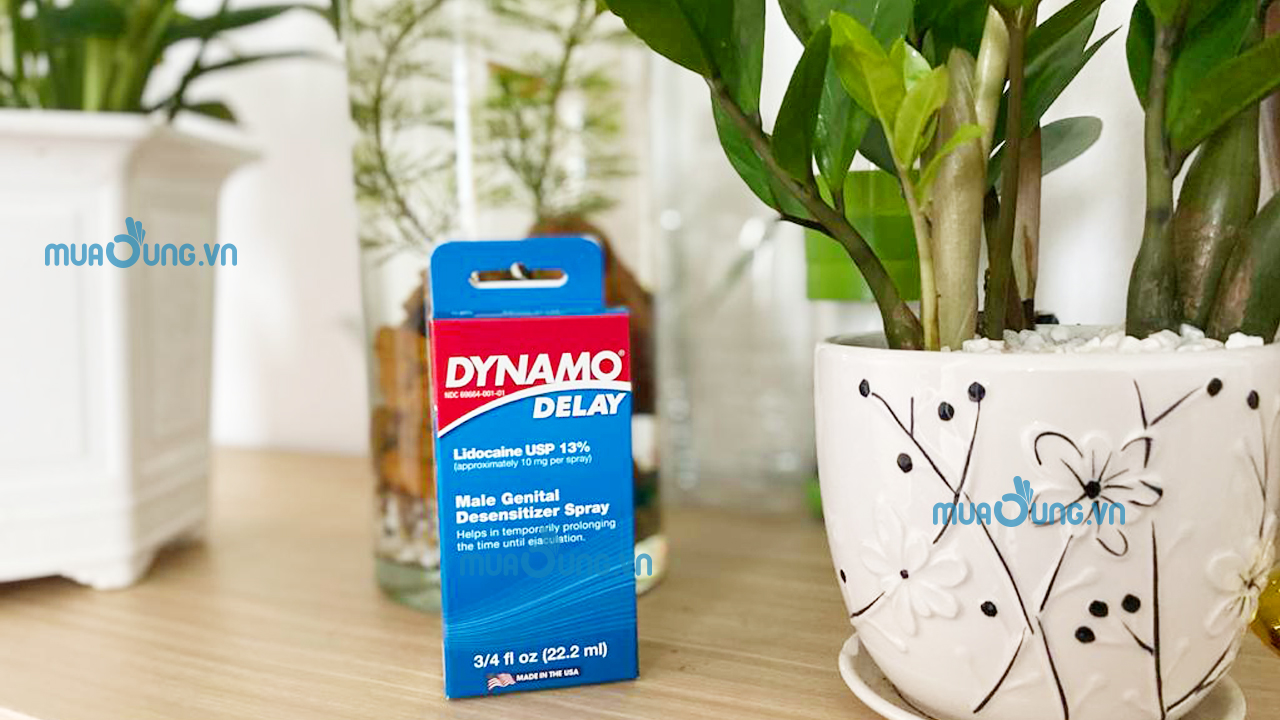dynamo delay mỹ