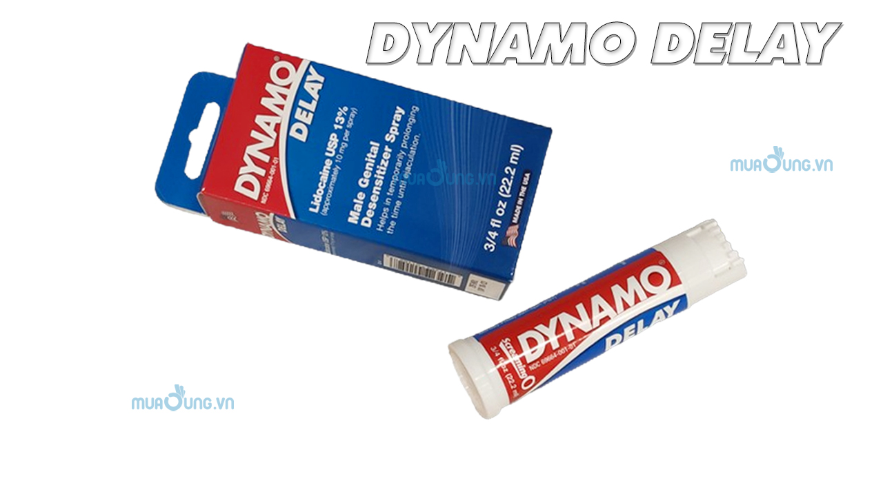 DYNAMO DELAY MỸ