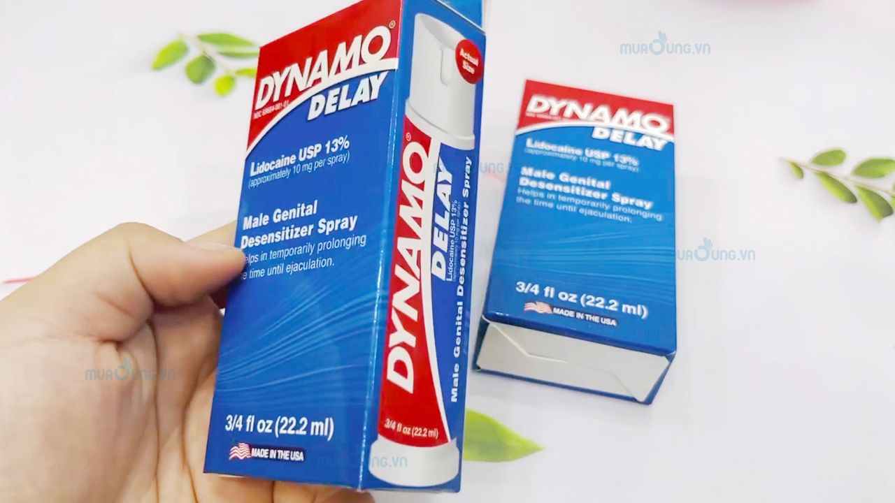 dynamo delay