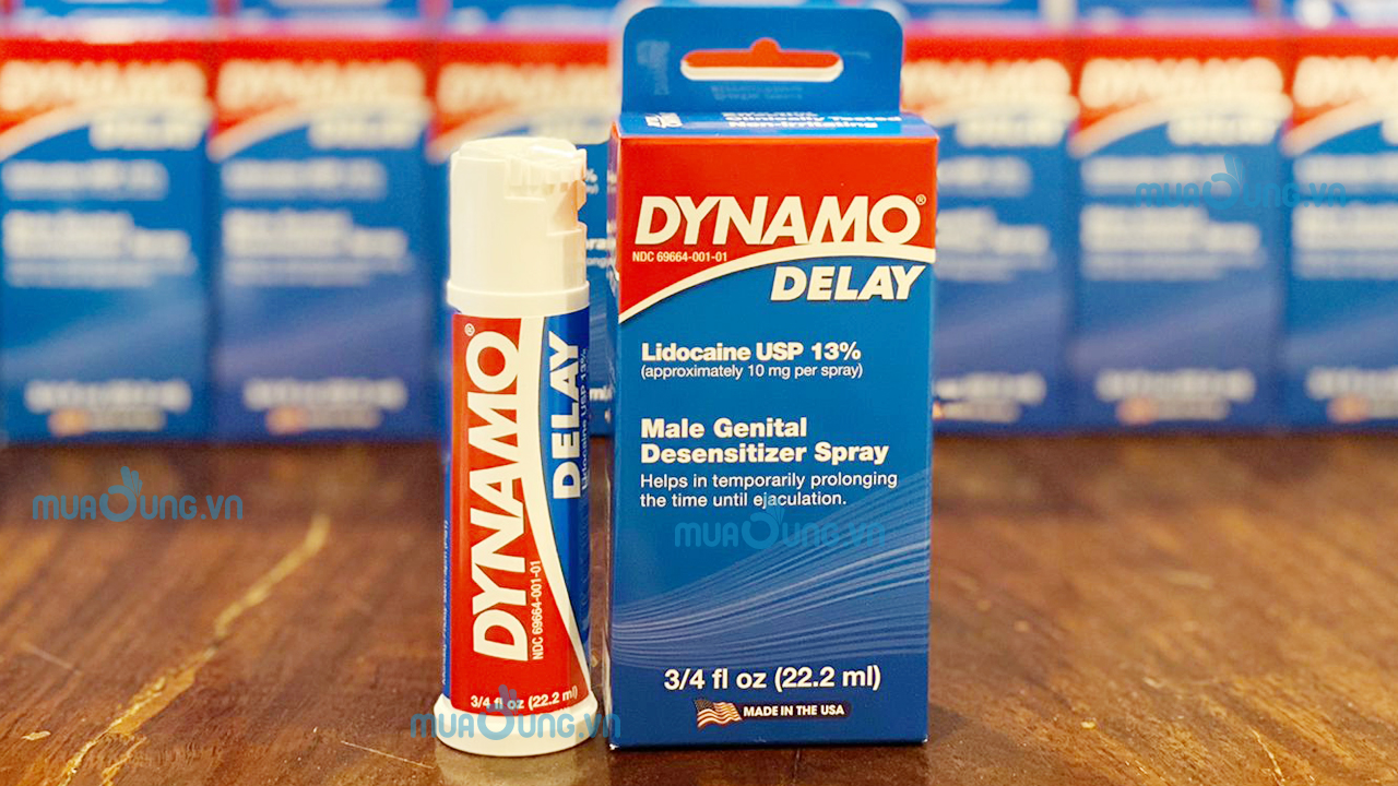 DYNAMO DELAY 2022