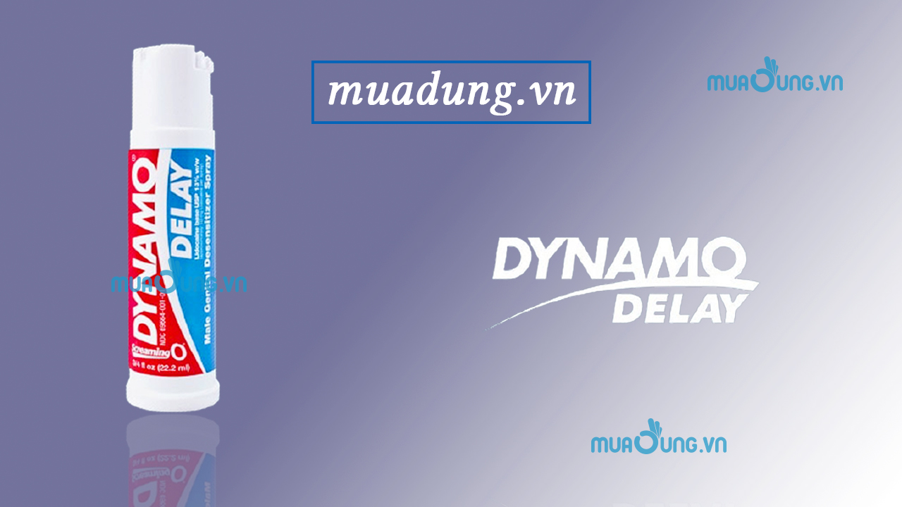 dynamo delay
