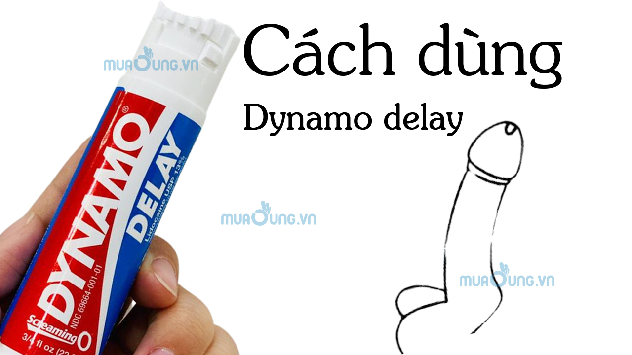 Cách dùng dynamo delay