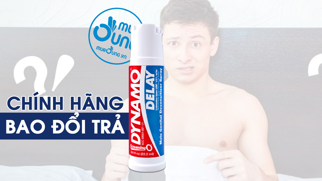 dynamo delay mỹ