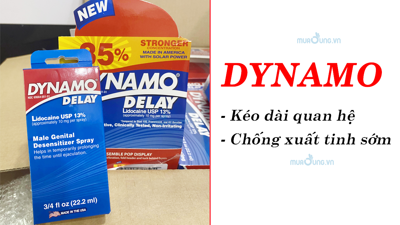 dynamo delay