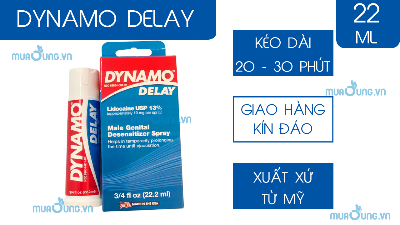 dynamo delay mỹ